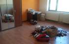 Apartament 2 camere - la intrarea in Azuga, Prahova - 7