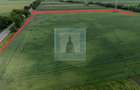 Teren intravilan 50000 mp, cu PUZ, Aprobat - zona Halchiu... - 10