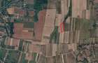 De vanzare teren agricol Ulileacu de Munte (Paleu)