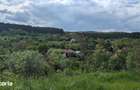 Teren intravilan de vanzare, 700 mp, acces asfaltat - 1