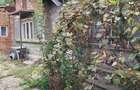 Casă cu 5 camere cu Teren 1300 Mp în Crivina - 9