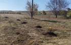 Teren intravilan Sascut (Schineni), jud. Bacau, 3200mp - 2