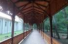 Vand casa Buzias Parc 286 mp - 6