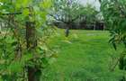 casa de vinzare in com Floresti,sat.Catina,jud Prahova,4camere,gaze,apa,canalizare ,1450mp pe str principala nu are baie,15 km MORENI,15km CAMPINA, - 7