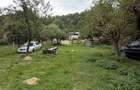 Teren 1.000 mp cu TOATE UTILITATILE - 7