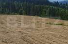 Teren 18.933 mp, parcelabil, zona Vatra Dornei - 7