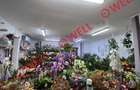 De vânzare spațiu comercial in centrul orasului Baraolt - 4