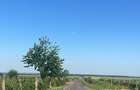 Teren Solar Development Opportunity 3 ha land near E85, Vrancea (Romania) cu acces la inalta tensiune,drum asfaltat. - 1