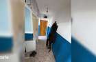 Apartament 2 Camere Zona Vest - 2