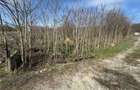 Teren Parcelabil I 11400 MP I Corpadea - 2