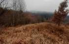 5000 mp teren in Potoci, Neamt - 8