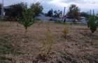 Carligele, jud. Vrancea - 2