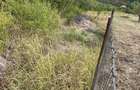 Vand URGENT teren intravilan 1000 mp str Livezilor - 3