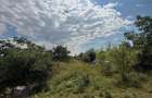 Teren panoramic de vanzare | 2.500 mp | Strada Nordului Borhanci - 5