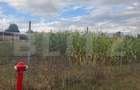 Teren intravilan, 1000 mp, front 50 ml, zona Bunesti