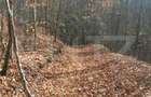 Teren extravilan de vanzare, 3.5 ha padure + pasune in Comun - 5