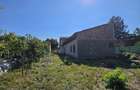 Rusu Sirianu- casa individuala- constructie caramida- 650 mp - 4
