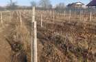 Teren în Valea Călugărească - 6