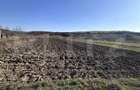 Teren intravilan 5.800 mp, potential de parcelare-constructie, zona Sa - 2
