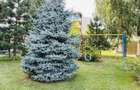 Garsoniera in Airport Residence - 6