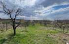 Casa mica cu livada de vanzare in Saldabagiu de Munte Oras la 10 min - 5
