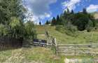 Teren intravilan Colibita 2300 mp panoramic