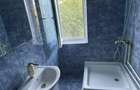 Camera de camin, 25 mp, zona Valea Rosie - 2