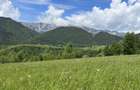 Teren de vanzare, 8.800 mp, Sat Pestera, Comuna Moieciu extravilan Vedere superba Bucegi & Piatra Craiului |deal pentru A-frame, case de vacanta - 1