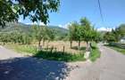 Teren intravilan in Bucova, comuna Bautar, la 3 euro mp - 1