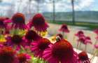 Vand apartament cu 3 camere 114 mp in Seasons! Cu CF! Comision 0! - 2