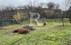 Oportunitate investitie  |  1259 mp  |  Zona Facliei  |  Oradea - 22
