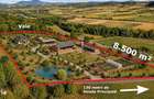 Super view | Teren 8.500 m2 Maramures | Viitorul tau colt de liniste