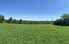 Proprietar, Vand teren intravilan 16600 mp, parcelabil, Comuna Cocu, Arges - 5