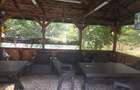Camere de inchiriat . - 1