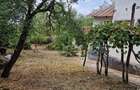 Proprietar - Vând casă, curte și grădină 1862 mp – Adunații Tei - 1