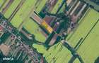 Stefan cel Mare - Bacau, Ferma agricola cu teren 1ha - 1