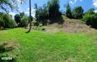Teren intravilan de vanzare, 6719mp, rural - 3