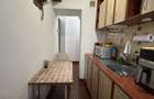 Apartament 2 camere , zona Banat - 3