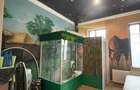 Apartament in vilă 3 camere, 120mp teren in folosinta (L18) - Nerva Traian - 4