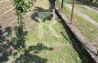 Casa cu 6 camere | Sitani | Bihor - 13