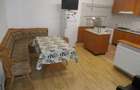 Apartament 1 camera, foarte spa?ios, cu termoteca, central - Podgoria - 7