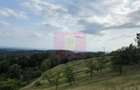 Refugiu in mijlocul naturii - 4