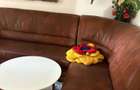 Apartament 4 camere zona Big - 3