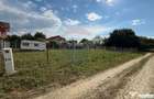 Teren intravilan Laminorul - Golesti (Vrancea) - 2