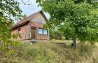 casa de vacanta 60km de Timisoara - 1