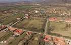Conac nobiliar de secol XIX cu 8 camere in Maciova - 1