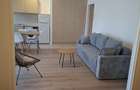 Proprietar inchiriez apartament in zona strazii Brancusi cu o camera si nisa de dormit - 1