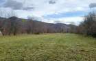 Vand teren in Sat Sulta, com. Agas, Bacau - 5