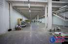 ID 8292 De inchiriat: Spa?iu comercial Hala Depozit - 12
