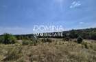 Vânzare teren 13.000 mp - Runcu-Suseni - oportunitate turistică - 6